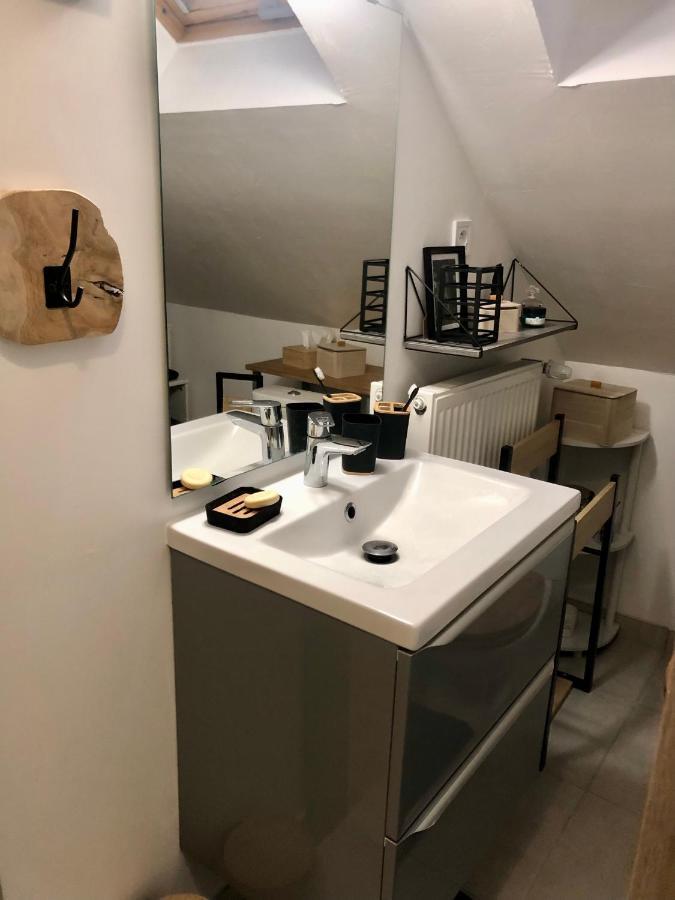Chambre Double Avec Salle De Bain Privative オセール エクステリア 写真